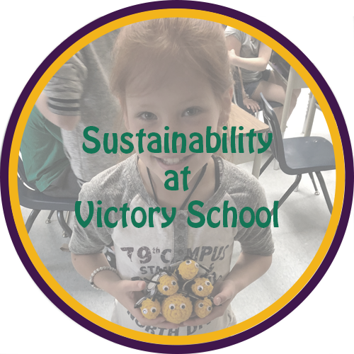 Sustainability at Victory School